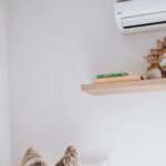 ¿Por qué debes usar el modo dry de tu aire acondicionado en invierno?